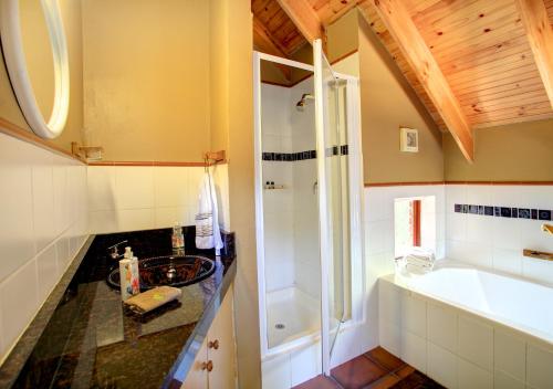 维德尼斯The Loerie's View的浴室配有水槽、淋浴和浴缸。