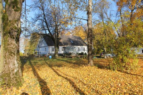 塞伊内Dwór Łumbie的前面有树木的大白色房子