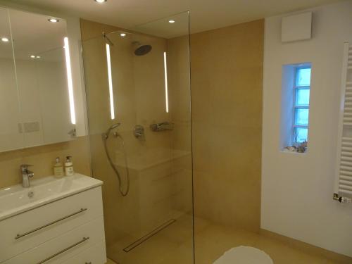 代德斯海姆Apartment am Weinberg的一间带玻璃淋浴和水槽的浴室