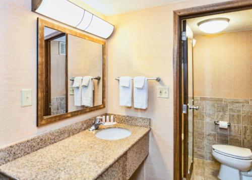 德卢斯德卢斯湖畔漫步戴斯酒店的一间带水槽、卫生间和镜子的浴室