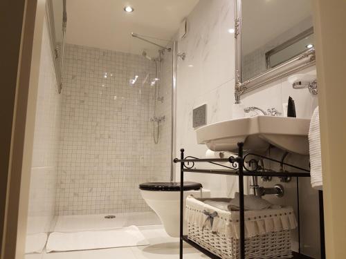 布拉格查尔斯公寓的一间带水槽、卫生间和淋浴的浴室