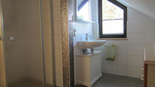 StruppenFerienwohnungen Rico Eglin的一间带水槽和淋浴及窗户的浴室