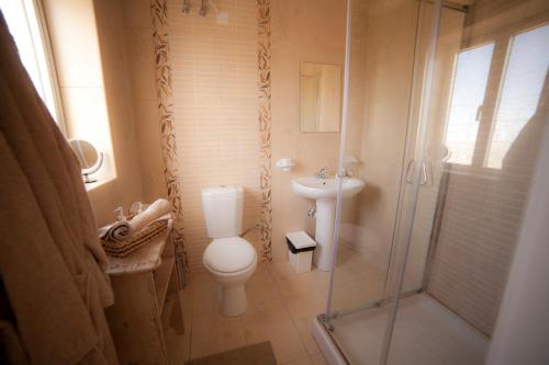 MġarrSecco's Seaview Accommodation的浴室配有卫生间、盥洗盆和淋浴。