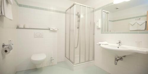 赖兴瑙Flackl - Wirt的浴室配有卫生间、盥洗盆和淋浴。