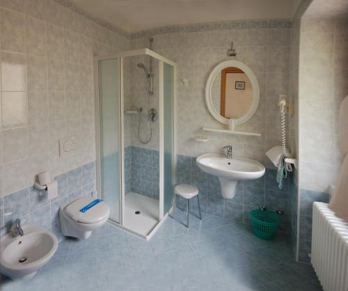 莱德罗Albergo Silvana的带淋浴、卫生间和盥洗盆的浴室