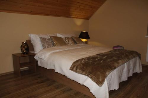SúľovPenzión Štefánik的一间卧室配有一张带棕色毯子的大床