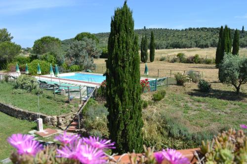 里奥托尔托Podere S.Giulia - casale S.Giulia的一座带游泳池、树木和鲜花的度假村