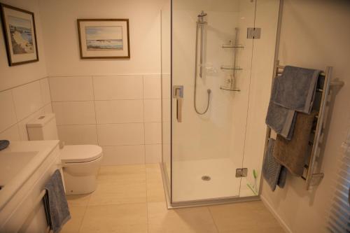 怀卡奈Sunny Glen Cottage的带淋浴和卫生间的浴室