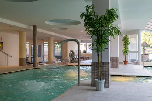 法申穆功阿尔鹏酒店的一座房子里一个带棕榈树的室内游泳池