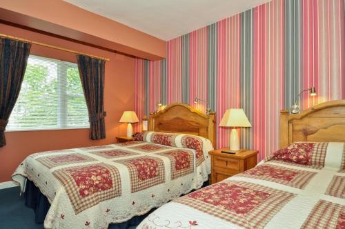 戈尔韦灰树丛旅馆的酒店客房设有两张床和窗户。