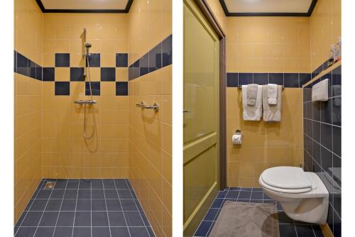 DreischorHerberg De Ring的浴室设有卫生间和淋浴,两幅图片