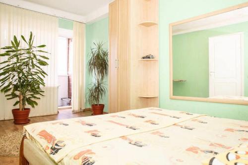 扎波罗热Apartment on Sobornyi Avenue的一间卧室设有一张大床和一个大镜子
