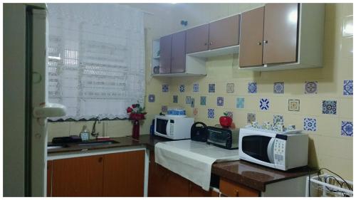 戈亚尼亚Cacau Hostel的厨房配有2台微波炉和1台微波炉。
