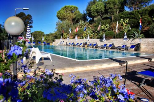 阿祖罗港朱利亚别墅酒店的一个带蓝色椅子和紫色花卉的游泳池
