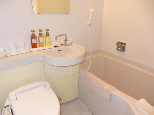IshiokaHotel Hashimotorou的浴室配有盥洗盆、卫生间和浴缸。