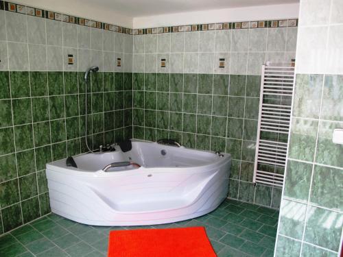 Hotel U Lišky的一间浴室