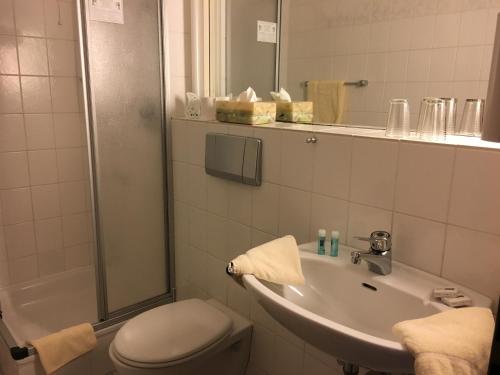 博克霍恩佐尔布彻酒店的一间带水槽、卫生间和淋浴的浴室