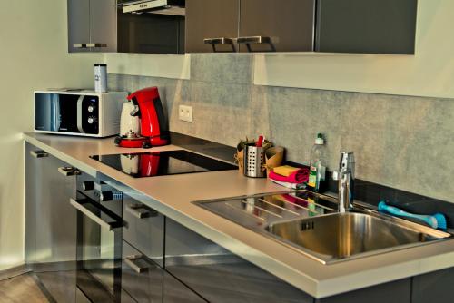 列日纳内斯套房公寓的厨房柜台设有水槽和微波炉