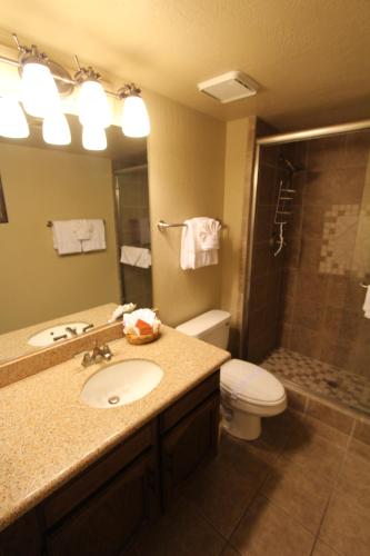 塞多纳Villas of Sedona, a VRI resort的一间带水槽、卫生间和淋浴的浴室