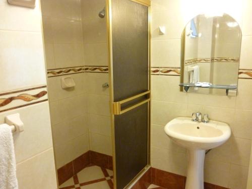 塔克纳Hotel San Martín的一间带水槽和淋浴的浴室