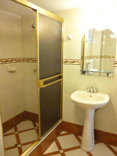 塔克纳Hotel Faraon的带淋浴和盥洗盆的浴室