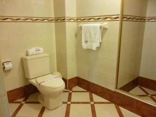 塔克纳Hotel Faraon的一间带卫生间和淋浴的浴室