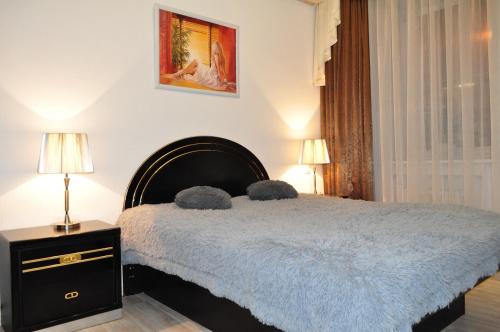 顿河畔罗斯托夫Apartment Ex-Visit的一间卧室配有一张床、两盏灯和一个窗户。