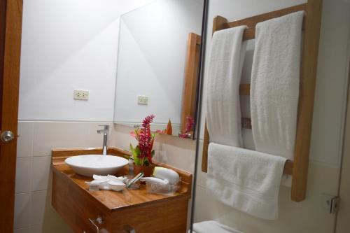 伊基托斯Hotel Jungle House的一间带水槽和镜子的浴室