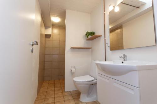 比伦德吉韦公寓的一间带水槽、卫生间和镜子的浴室