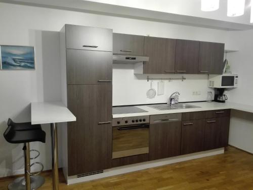 维也纳1,5 Zimmer-Apartment oder elegantes Home-office的一个带木制橱柜和水槽的厨房