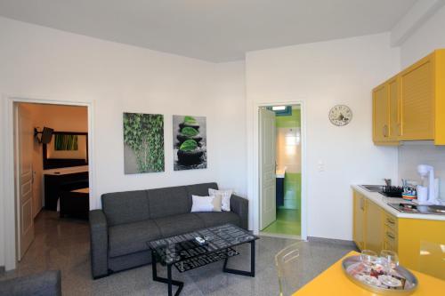 锡基诺斯岛Stegadi Apartments Sikinos的带沙发的客厅和厨房