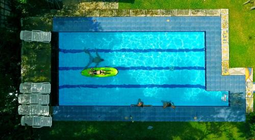 乌纳瓦图纳Villa Gaetano Unawatuna的游泳池内两只狗的上方景色