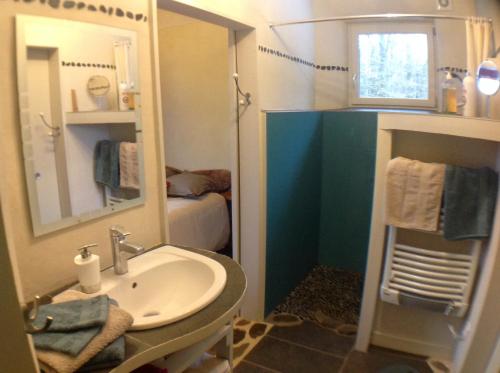 ToulignyChambre d'hôtes de Paille et d'Argile的一间带水槽和镜子的小浴室