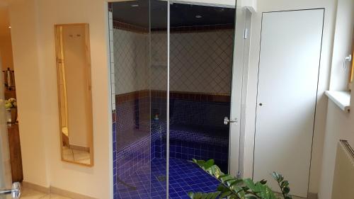 圣安东阿尔贝格帕塞伊布里克酒店的浴室里设有玻璃门淋浴