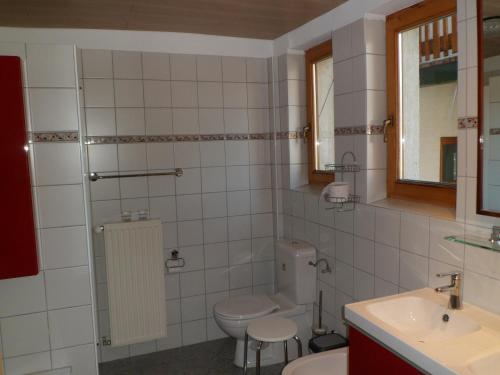 格吕瑙Pension Grünauhof的一间带卫生间和水槽的浴室