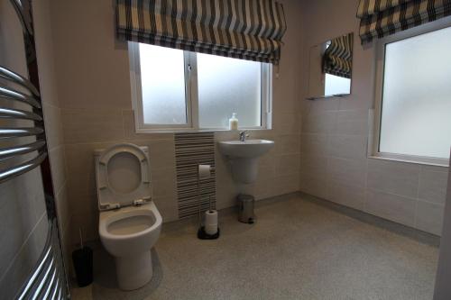 贝尔法斯特Townlets Townhouse的一间带卫生间和水槽的浴室