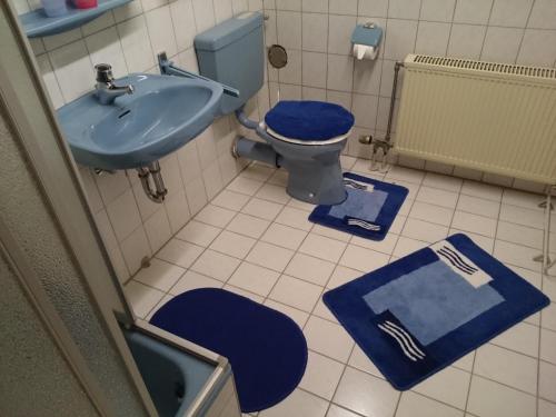 Bornich罗蕾莱河畔公寓的浴室设有卫生间、水槽和蓝色垫子。