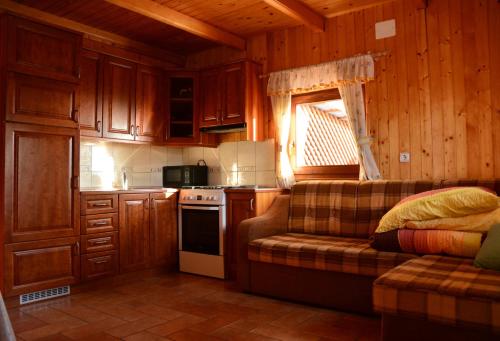采尔克诺Apartments Gatej的一个带木制橱柜的厨房和一个沙发