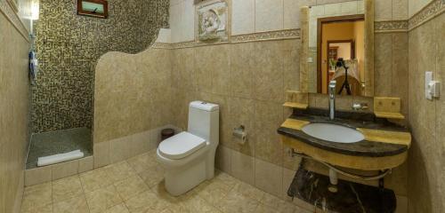 拉戈莱特蓝珍珠度假公寓的一间带卫生间、水槽和镜子的浴室