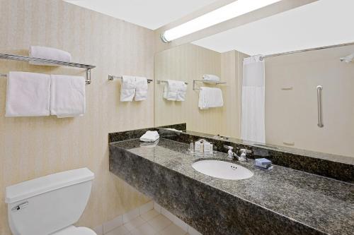 阿灵顿海茨阿灵顿海兹温盖特温德姆酒店的一间带水槽、卫生间和镜子的浴室