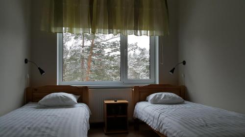 塔林JK曼尼库旅舍的带窗户的客房内设有两张单人床。