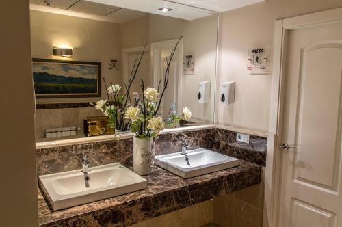 隆达塞维利亚酒店的浴室设有两个水槽和花瓶