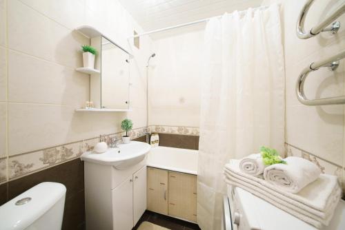 博布鲁伊斯克PaulMarie Apartments on Oktyabrskaya的浴室配有盥洗盆、卫生间和浴缸。