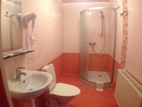 PļaviņasMotelis Bu-Bu的一间带水槽、卫生间和淋浴的浴室