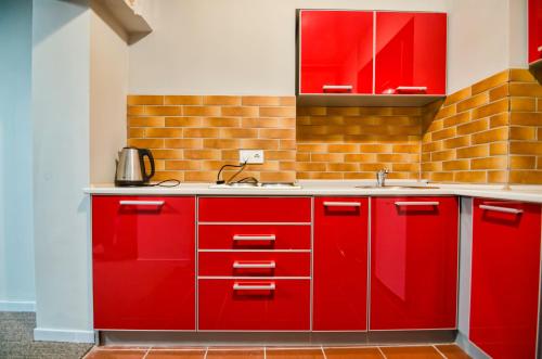 利沃夫Apartment on Knyazya Leva 2的红色的厨房,配有水槽和红色橱柜