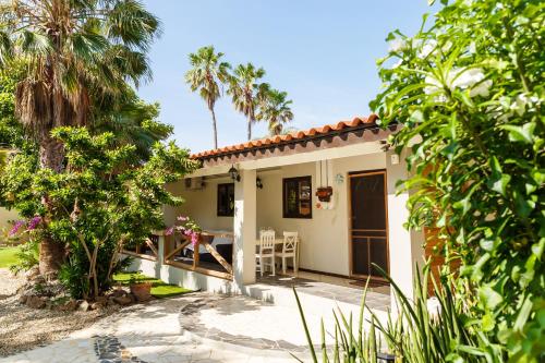 棕榈滩Casalina Garden 2 blocks to Palm Beach & Kitesurfing school的一座带庭院和棕榈树的出租房屋