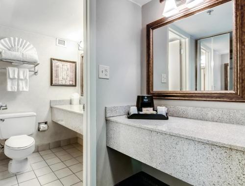 亚特兰大亚特兰大机场华美达广场酒店的一间带水槽、卫生间和镜子的浴室