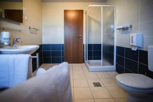 GoreljekHotel Pokljuka的浴室配有卫生间、盥洗盆和淋浴。