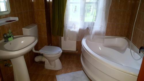 LeorzeniDofteana Park的浴室配有盥洗盆、卫生间和浴缸。