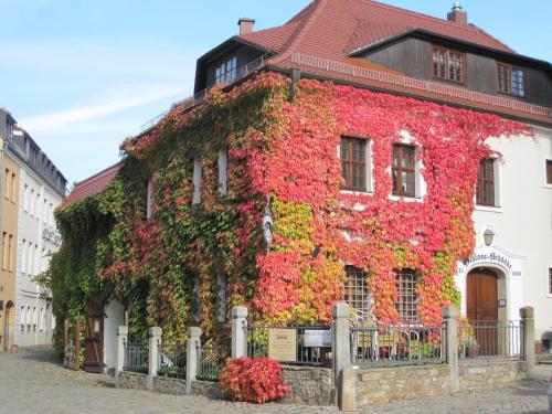 包岑Schloss Schänke Hotel garni und Weinverkauf的街道上常春藤覆盖的建筑物